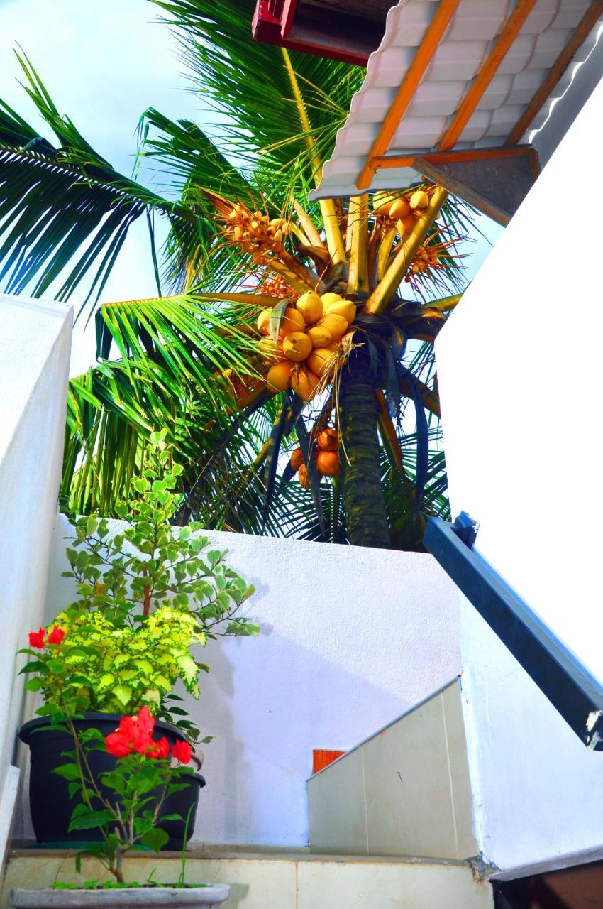 Senero House Hotel Bentota Exterior photo